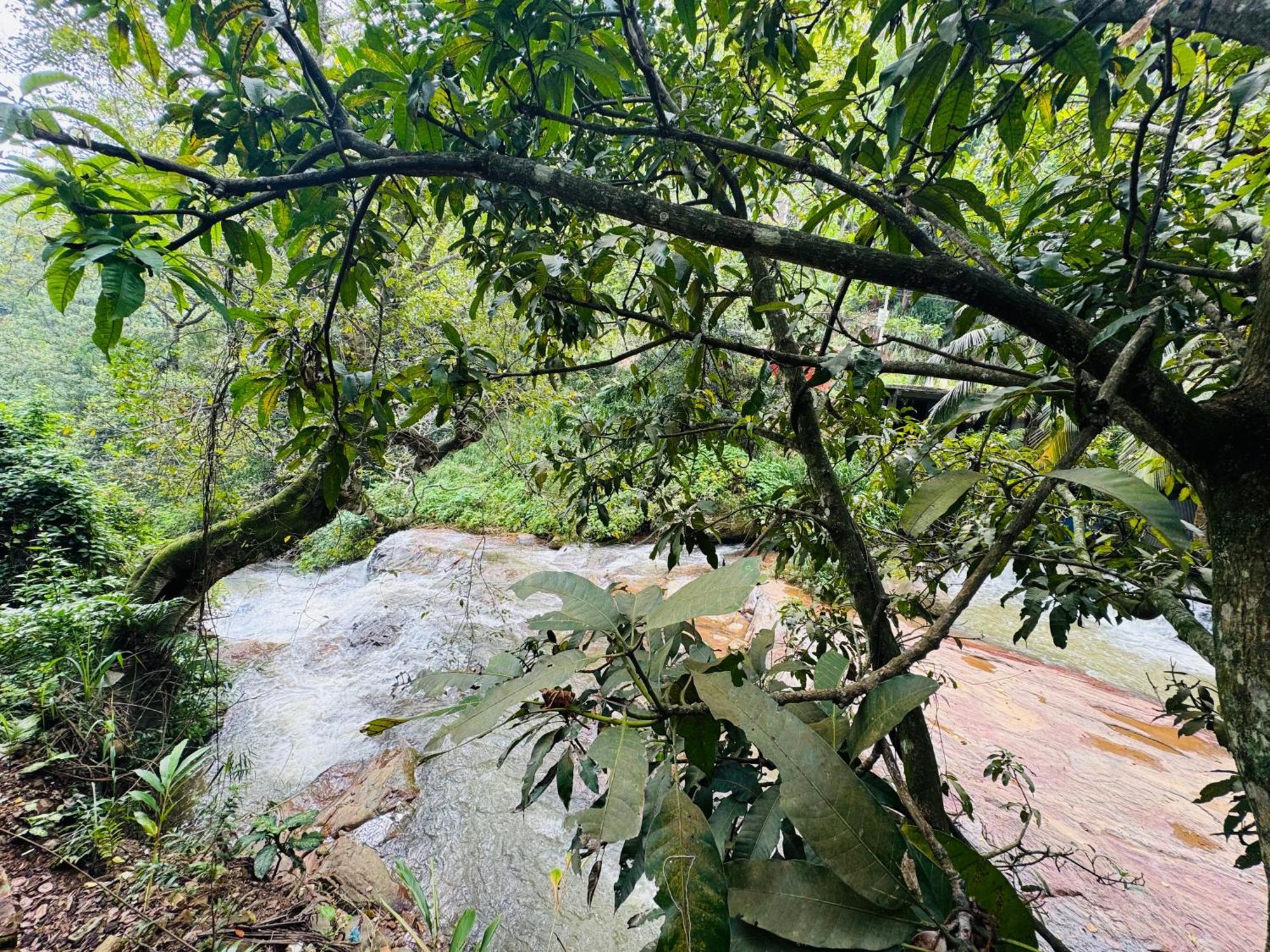 River Splendour Home Stay Ella Exterior foto